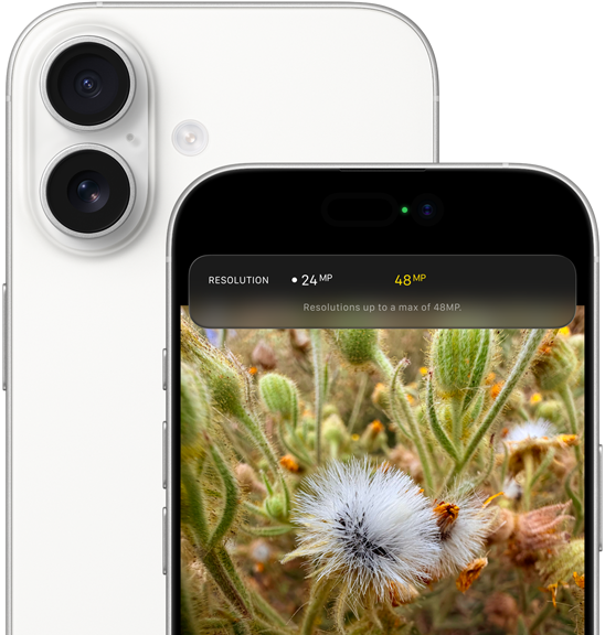 iPhone 17, rear exterior, rounded corners, Dual Fusion Camera System in top left corner, white colour, front exterior, Dynamic Island, rounded corners